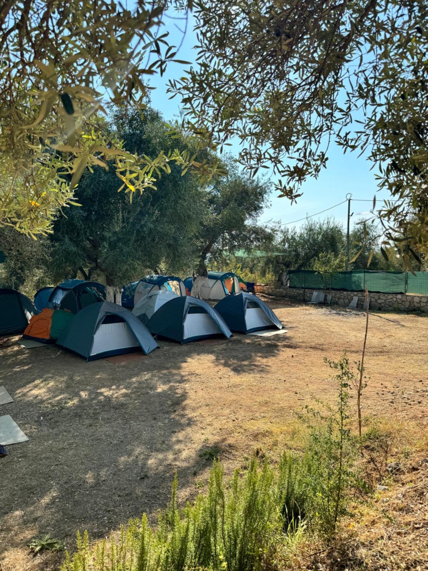 Olive Camping 히마레 외부 사진